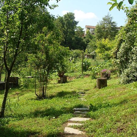 Appartamento In Monferrato Di Dominga Portacomaro エクステリア 写真