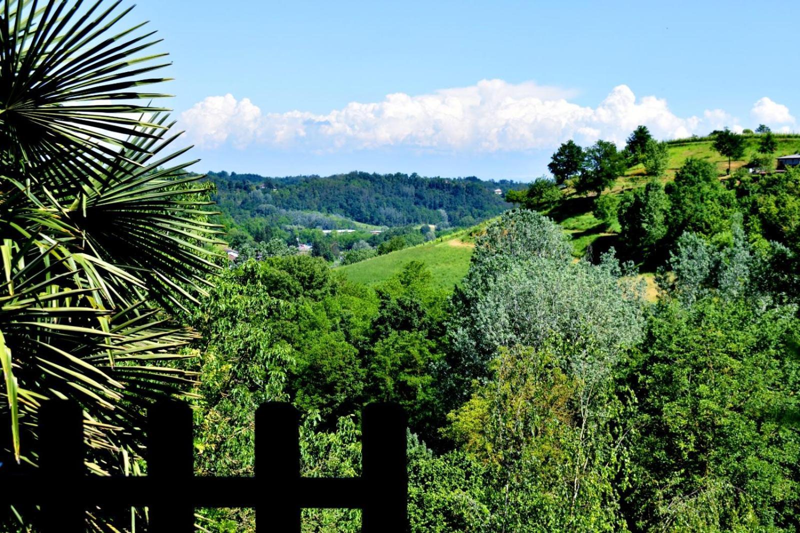 Appartamento In Monferrato Di Dominga Portacomaro エクステリア 写真