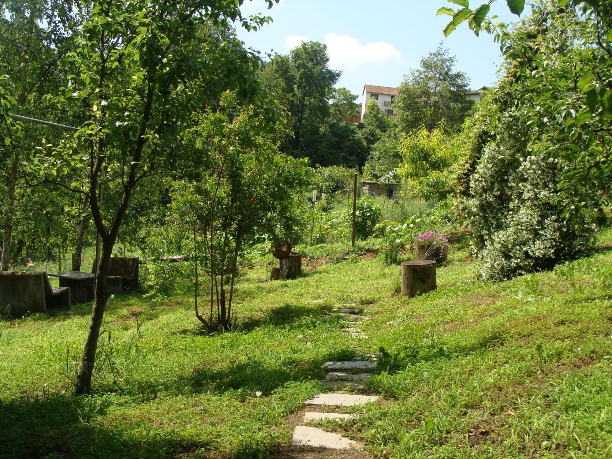 Appartamento In Monferrato Di Dominga Portacomaro エクステリア 写真