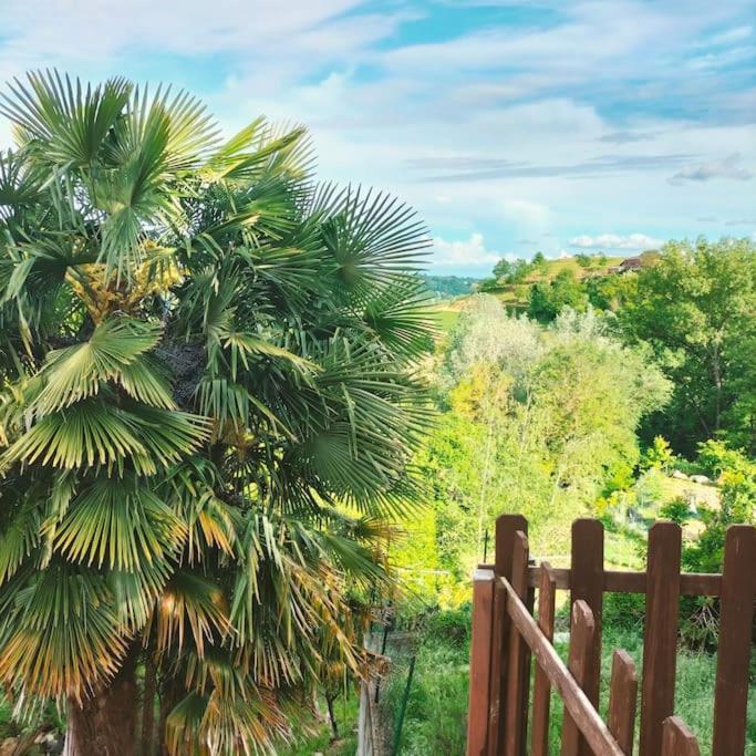 Appartamento In Monferrato Di Dominga Portacomaro エクステリア 写真